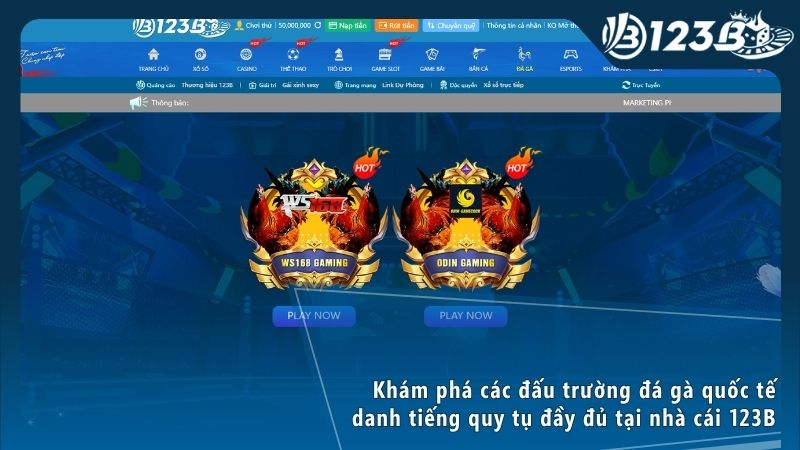 Trải nghiệm đá gà cựa dao Philippines đỉnh cao với những màn so tài chớp nhoáng đầy kịch tính