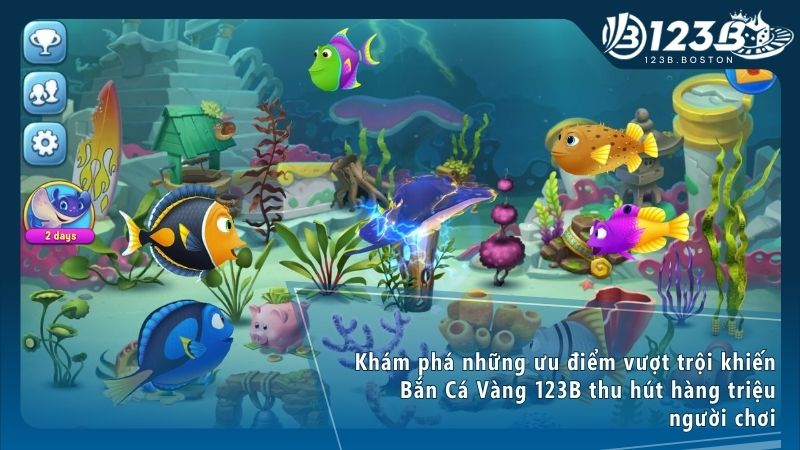 Trải nghiệm bắn cá vàng 123B với đồ họa 3D sống động và tỷ lệ trả thưởng cực cao